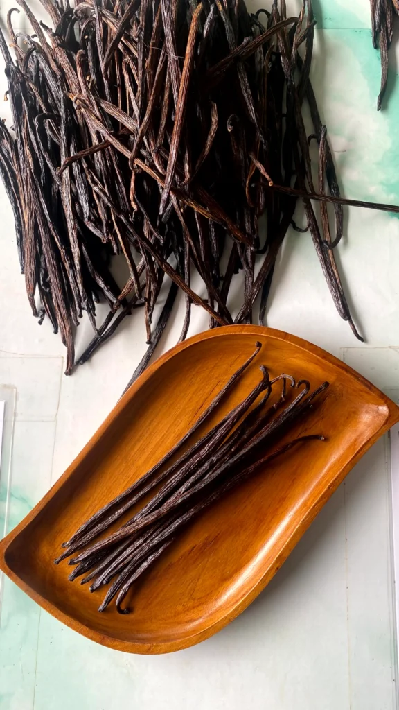 Cured Vanilla beans 